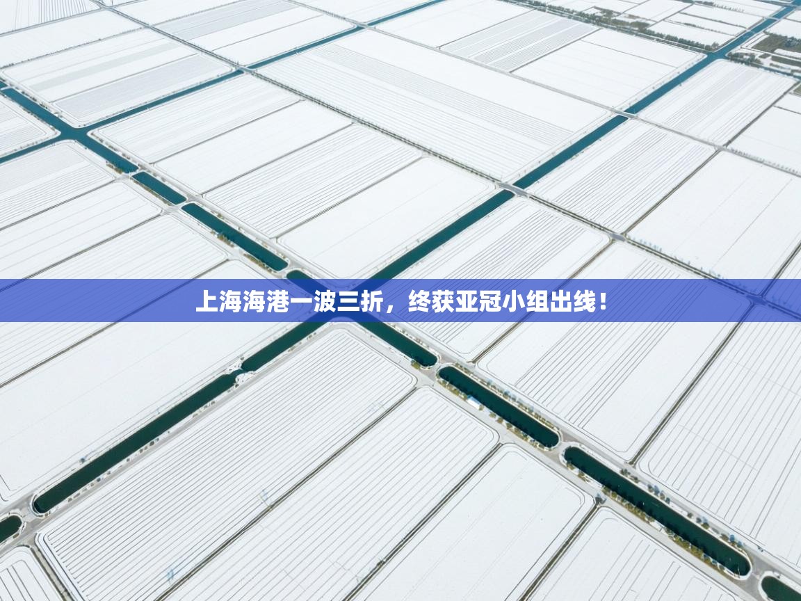 上海海港一波三折,终获亚冠小组出线! 第2张