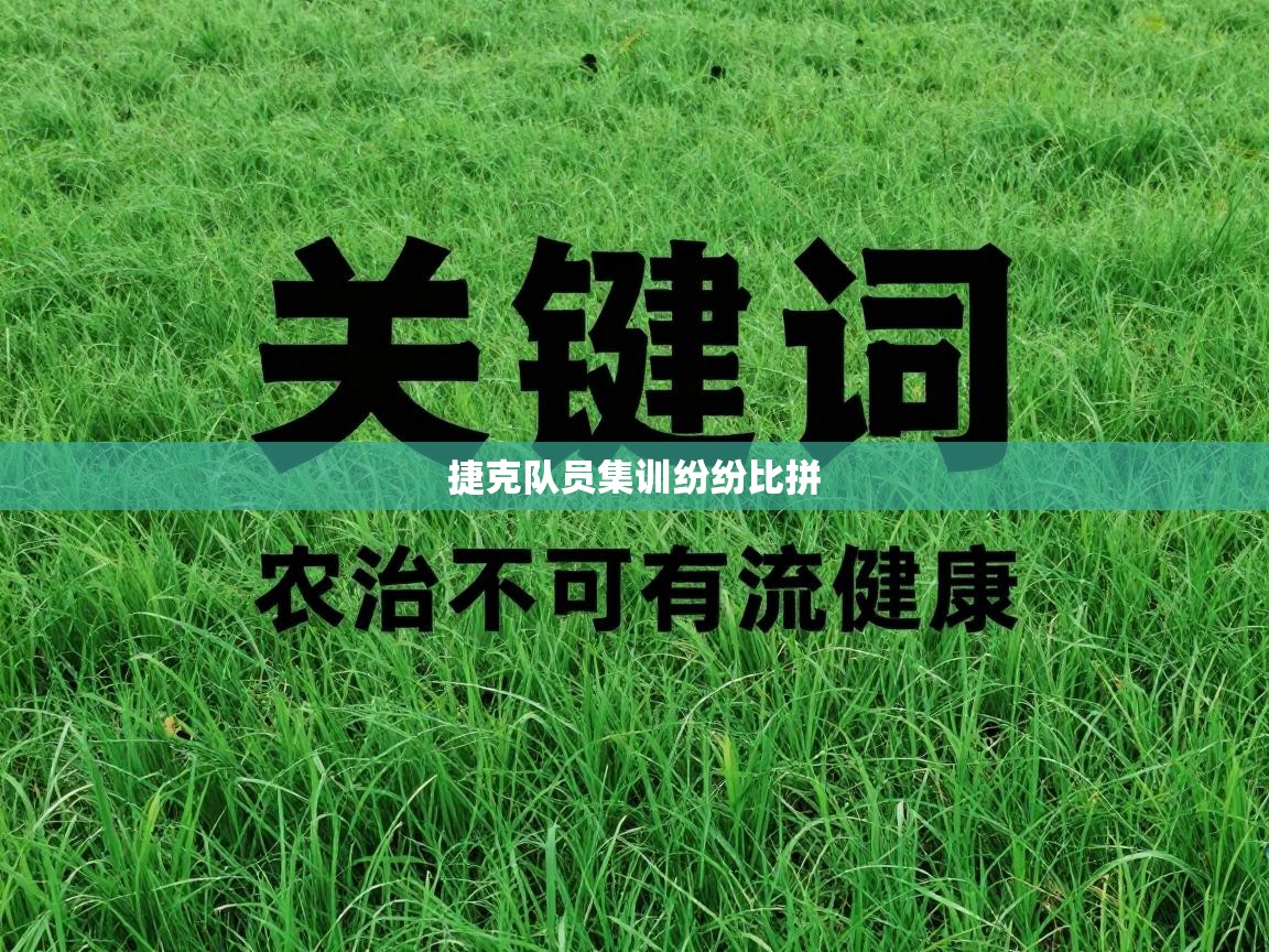 捷克队员集训纷纷比拼 第1张