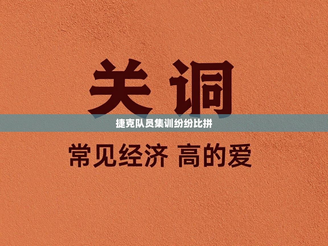 捷克队员集训纷纷比拼 第2张
